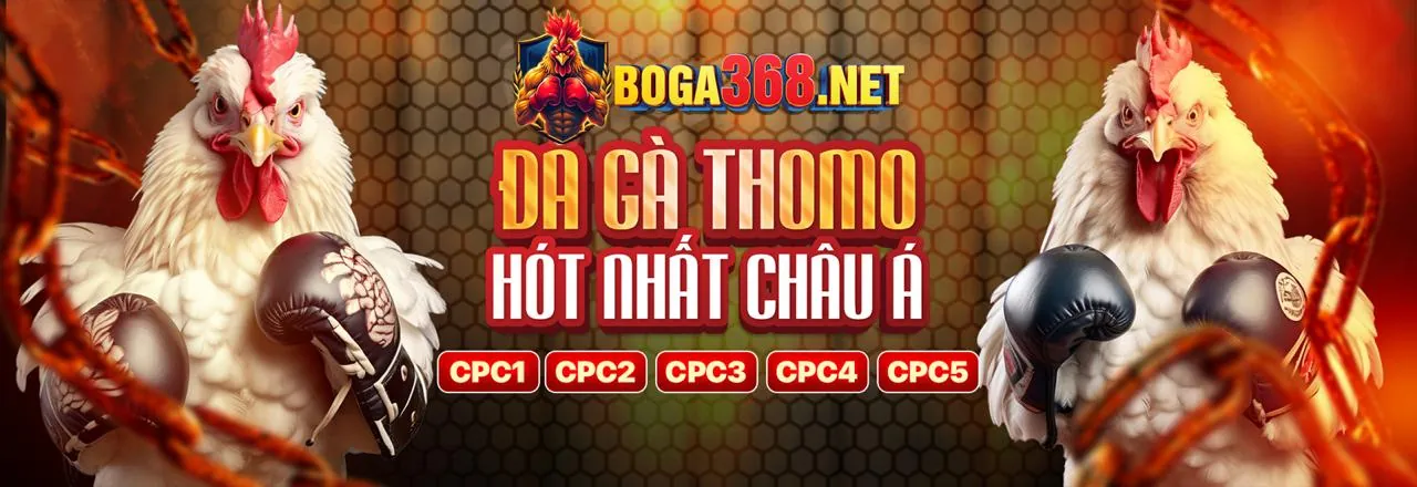 Hình ảnh tổng quan về vuabai9 nhà cái, thể hiện sự an toàn và đa dạng trò chơi